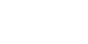 pny-logo-white
